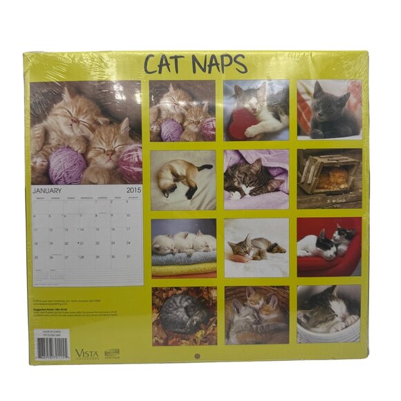 Cat Naps 2015 16-Month Wall Calendar Sleepy Kitten Images Cute Photography - Picture 3 of 3